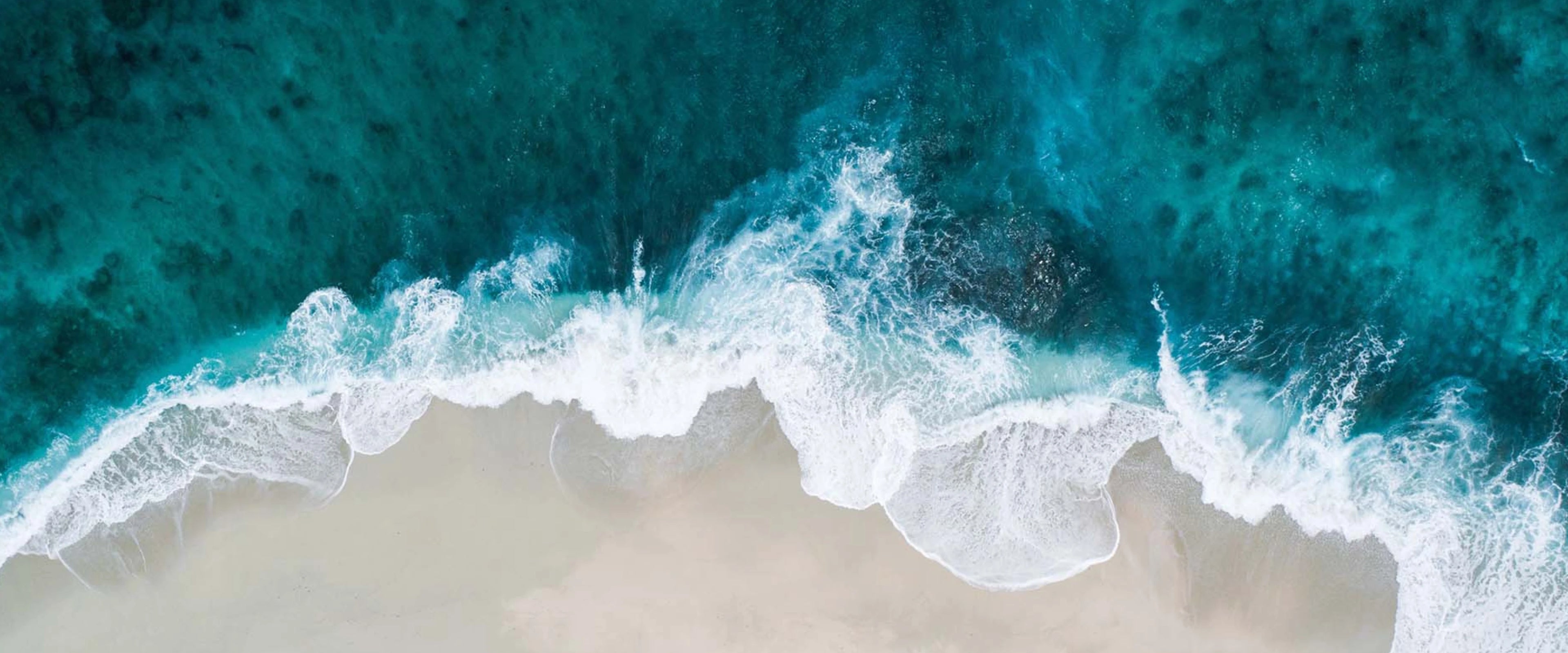 image_banniere_ocean_PlasticBank_ocean_ALOELIS