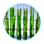 image_logo_Expertise_nordique_ALOELIS